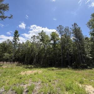 979 Aiken Rd 18