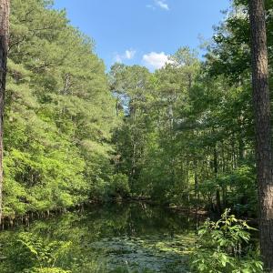 979 Aiken Rd 7