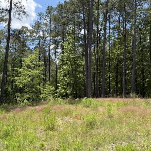 979 Aiken Rd 16