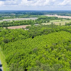DJI_20260526112706_0018_D