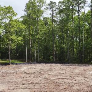Partially Cleared Lot