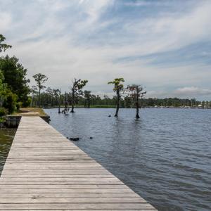 Photo #18 of Lot 6 Beech Point, Hertford, NC 2.5 acres
