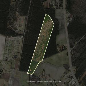 Property Lines