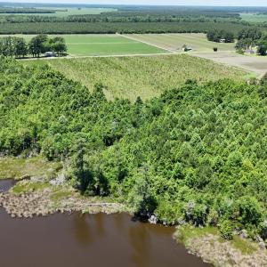Photo #14 of Yeatesville, Bath, NC 38.8 acres