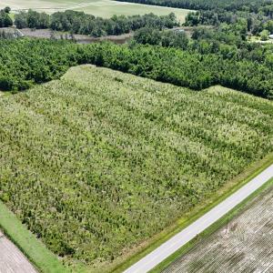 Photo #9 of Yeatesville, Bath, NC 38.8 acres