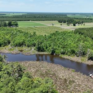 Photo #15 of Yeatesville, Bath, NC 38.8 acres