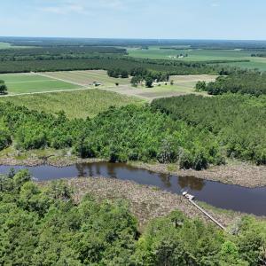 Photo #19 of Yeatesville, Bath, NC 38.8 acres