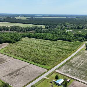 Photo #6 of Yeatesville, Bath, NC 38.8 acres