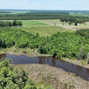 Photo #17 of Yeatesville, Bath, NC 38.8 acres