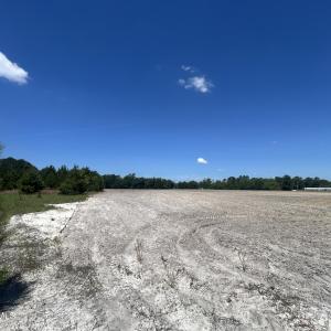 IMG_8175
