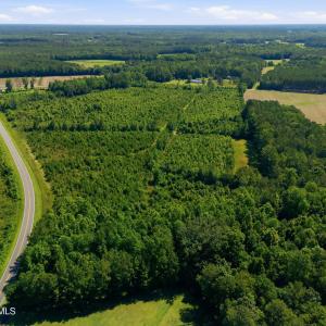 Photo #7 of 150 Furnie Hammond, Clarendon, NC 56.6 acres