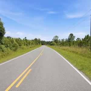 Photo #16 of 150 Furnie Hammond, Clarendon, NC 56.6 acres