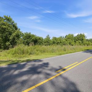 Photo #12 of 150 Furnie Hammond, Clarendon, NC 56.6 acres
