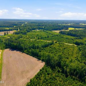 Photo #4 of 150 Furnie Hammond, Clarendon, NC 56.6 acres