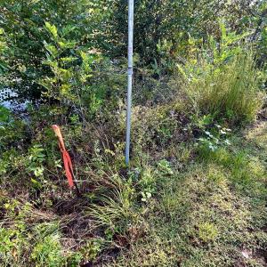 Photo #5 of 281 Old Sr 1801, Scotland Neck, NC 1.1 acres