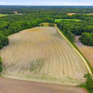 Photo #2 of Tbd Pig Palace, Council, NC 26.8 acres