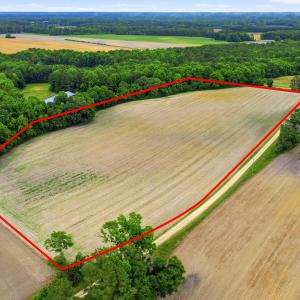 Photo #4 of Tbd Pig Palace, Council, NC 26.8 acres