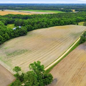 Photo #3 of Tbd Pig Palace, Council, NC 26.8 acres