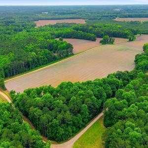 Photo #10 of Tbd Pig Palace, Council, NC 26.8 acres