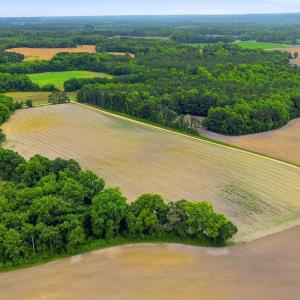 Photo #12 of Tbd Pig Palace, Council, NC 26.8 acres