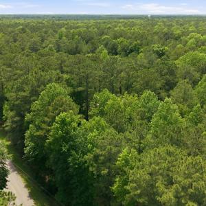 Photo #11 of 9 Ags, Chocowinity, NC 2.2 acres