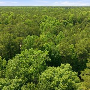 Photo #12 of 9 Ags, Chocowinity, NC 2.2 acres
