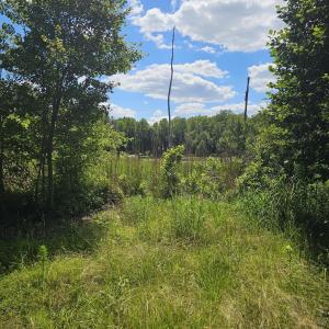 Photo #9 of Madison, Bailey, NC 21.0 acres