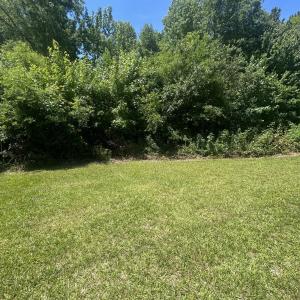 Photo #8 of Tbd Nc Hwy 705, Robbins, NC 3.3 acres
