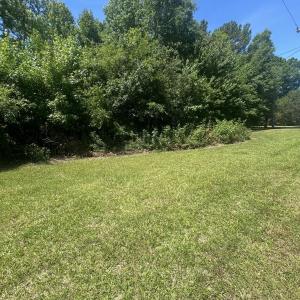 Photo #1 of Tbd Nc Hwy 705, Robbins, NC 3.3 acres