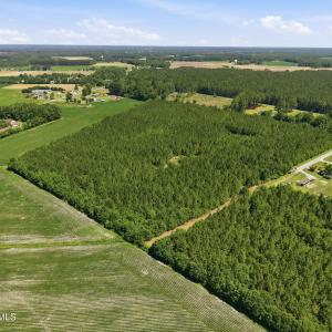 Photo #17 of 1795 1825 Highway 58, Kinston, NC 46.0 acres