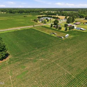 Photo #15 of 1795 1825 Highway 58, Kinston, NC 46.0 acres