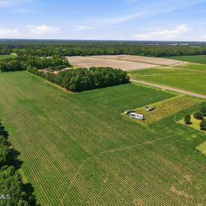 Photo #10 of 1795 1825 Highway 58, Kinston, NC 46.0 acres