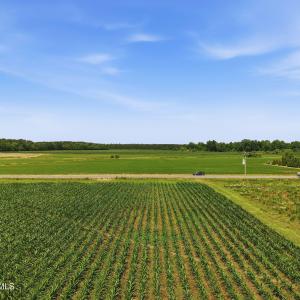 Photo #6 of 1795 1825 Highway 58, Kinston, NC 46.0 acres