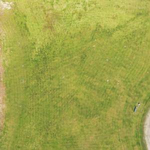 Photo #25 of Dowry Creek West, Belhaven, NC 0.5 acres