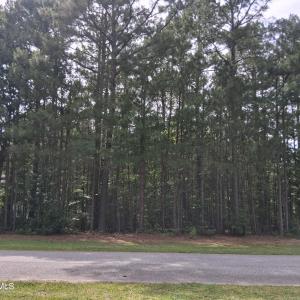 Photo #9 of 40 Boshers Point Drive, Hertford, NC 0.5 acres
