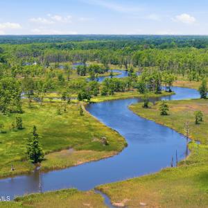 Photo #4 of 152 Forest Hills, Leland, NC 2.2 acres