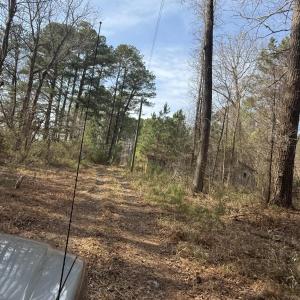 Photo #17 of 269 Creek, Bath, NC 42.8 acres