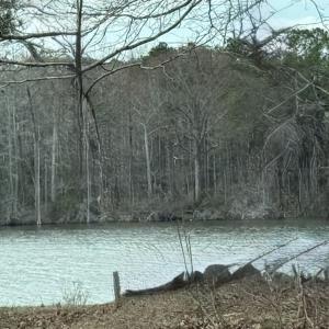 Photo #18 of 269 Creek, Bath, NC 42.8 acres