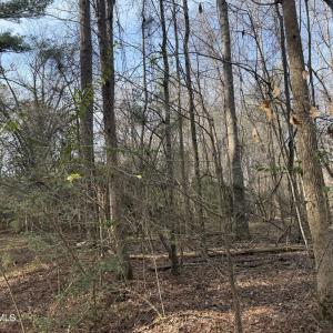 Photo #12 of 269 Creek, Bath, NC 42.8 acres