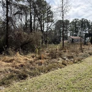 Photo #3 of 269 Creek, Bath, NC 42.8 acres