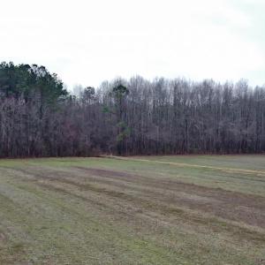 Photo #6 of 269 Creek, Bath, NC 42.8 acres