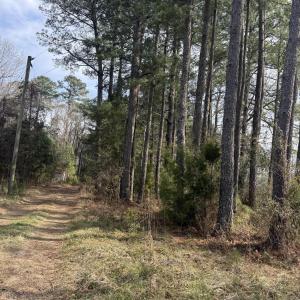 Photo #15 of 269 Creek, Bath, NC 42.8 acres