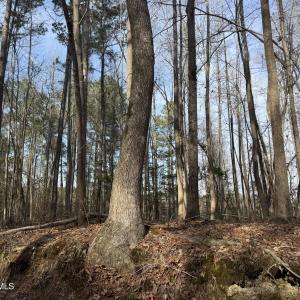 Photo #13 of 269 Creek, Bath, NC 42.8 acres