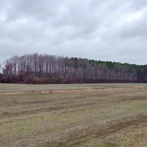 Photo #2 of 269 Creek, Bath, NC 42.8 acres