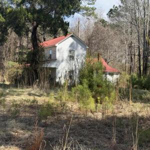Photo #9 of 269 Creek, Bath, NC 42.8 acres