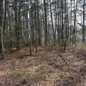 Photo #4 of 269 Creek, Bath, NC 42.8 acres