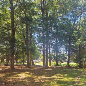 Photo #29 of 476 Lake Shore, Sunset Beach, NC 0.3 acres