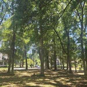 Photo #15 of 476 Lake Shore, Sunset Beach, NC 0.3 acres
