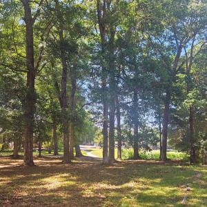 Photo #31 of 476 Lake Shore, Sunset Beach, NC 0.3 acres