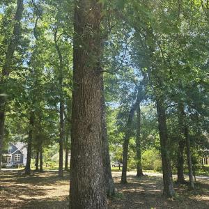 Photo #29 of 476 Lake Shore, Sunset Beach, NC 0.3 acres